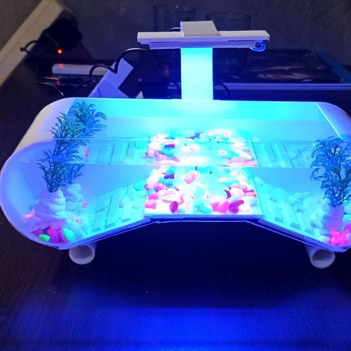 aquarium mini aquarium kura kura brazil unik TD