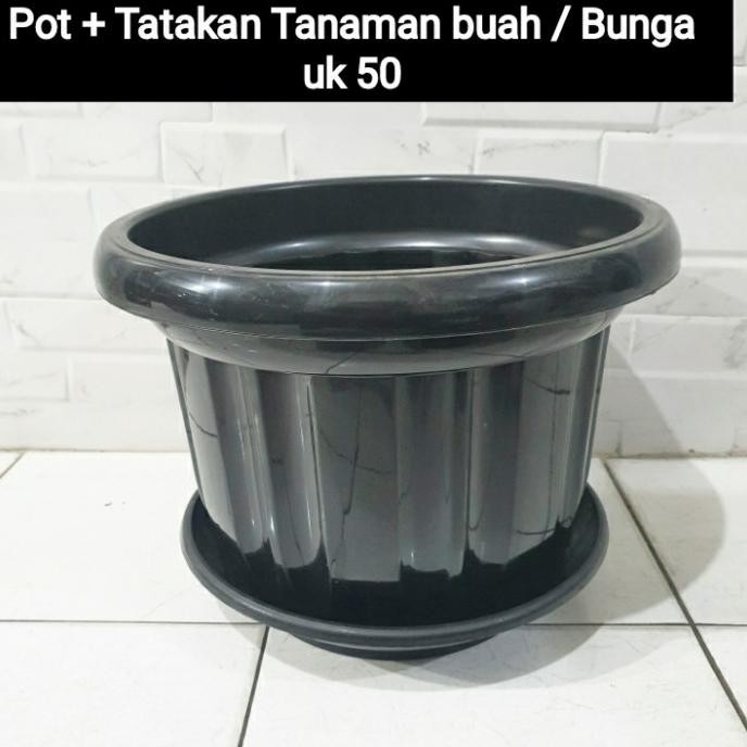 Baywalk Pot Tanaman Jumbo 50 besar + alas Tatakan Pot Tebal 50cm