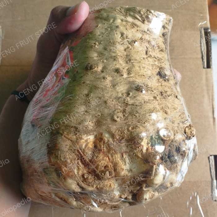 

Celeriac super fresh packing 4,8 kg
