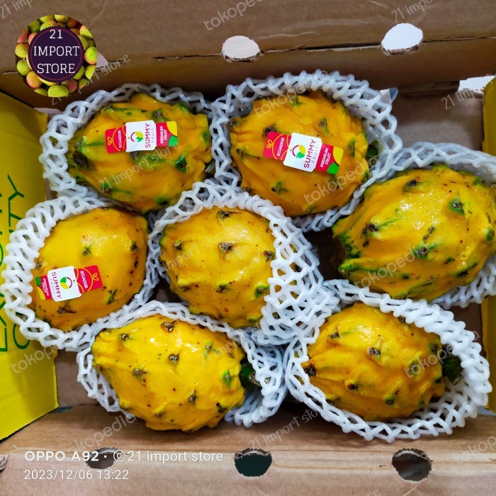 

Buah Naga Kuning Equador Dragon Fruit Yellow Fresh Import 1 Dus