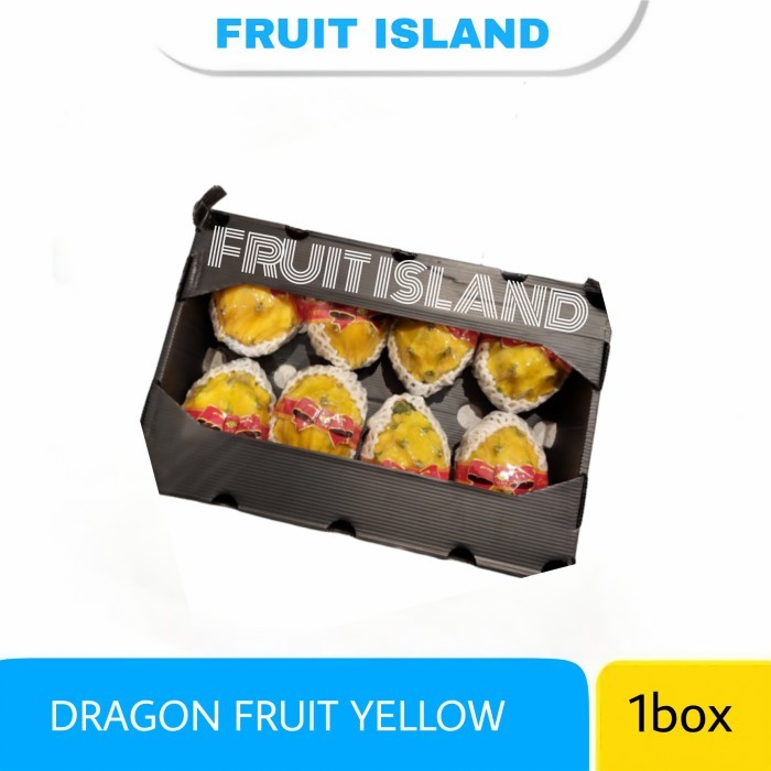 

dragon fruit yellow lokal 1 karton isi 8 buah