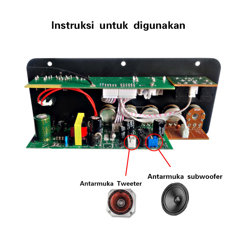 Digital Bluetooth Stereo Amplifier Papan Subwoofer Dual Mikrofon Karaoke Mobil Amplifier Speaker