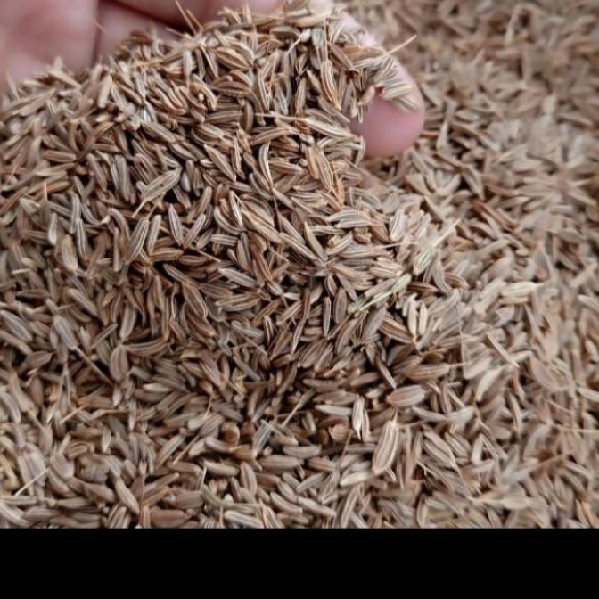 

CUMIN / ZEERA / JEERA / WANGI INDIA PUNYA /500 GRAM