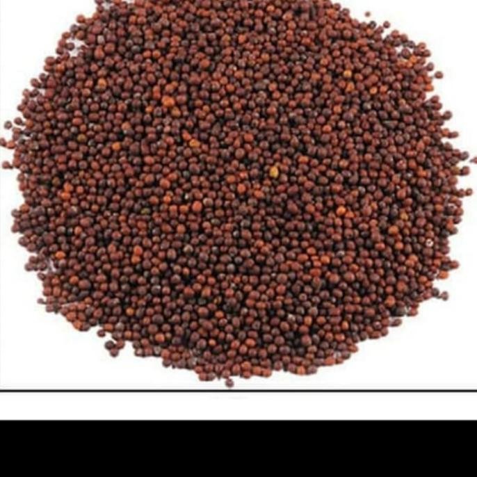 

black mustard seed/ Biji sawi import 1 kg