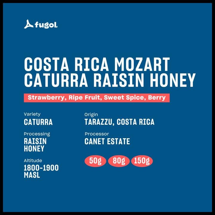 

Costa Rica Mozart Caturra Raisin Honey Specialty Arabica Coffee Original Best Quality