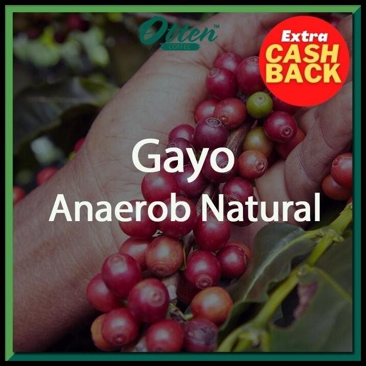 

Green Bean Aceh Gayo Anaerob Natural - 1 Kg Original Best Quality