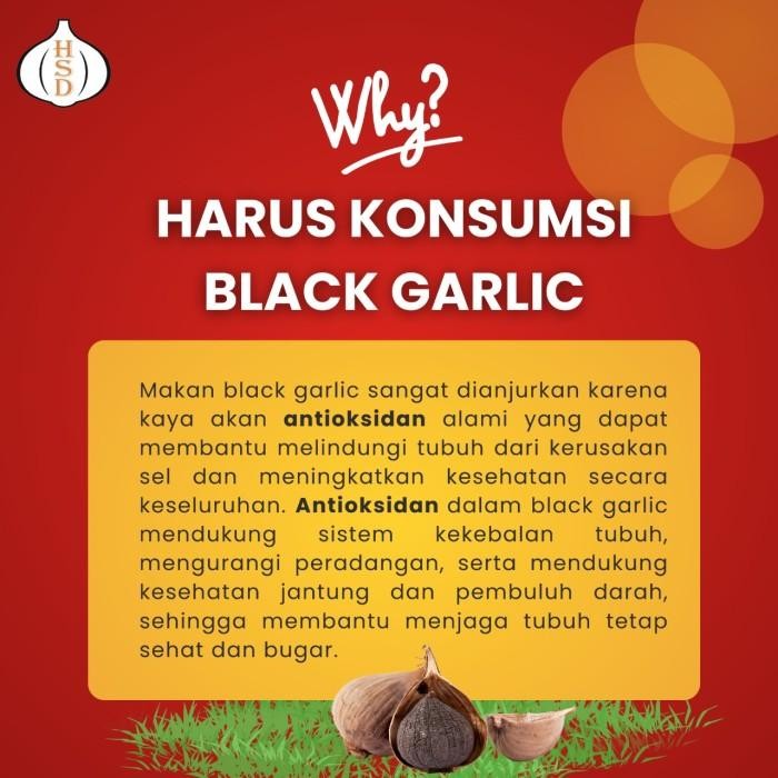 

4 Botol Black Garlic Solo ( Bawang Hitam Tunggal) 500 Gr Terlaris 100 % Original