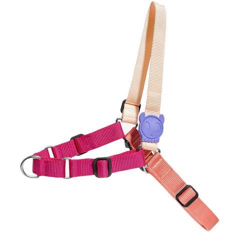 Sale Zee.Dog Cinnamon Soft-Walk Harness