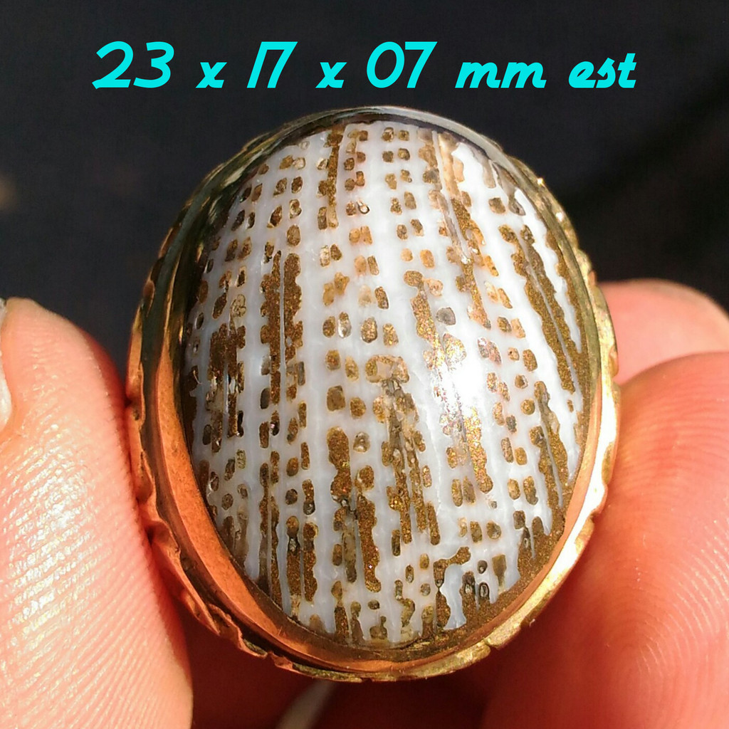Natural Karang Laut Emas Top Kristal Unik Langka