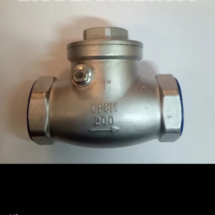 swing check valve 2 inch