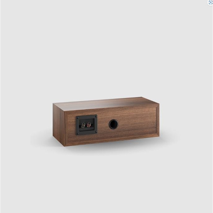 Promo Dali Spektor Vokal Center Channel Speaker