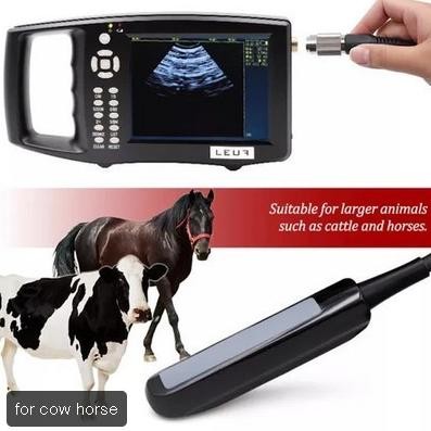 Alat Usg Hewan Ternak Portable Alat Tes Kehamilan Sapi Babi Kuda USG