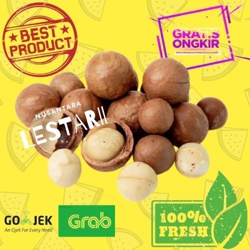 

KACANG MAKADAMIA PANGGANG 500 GR / ROASTED MACADAMIA