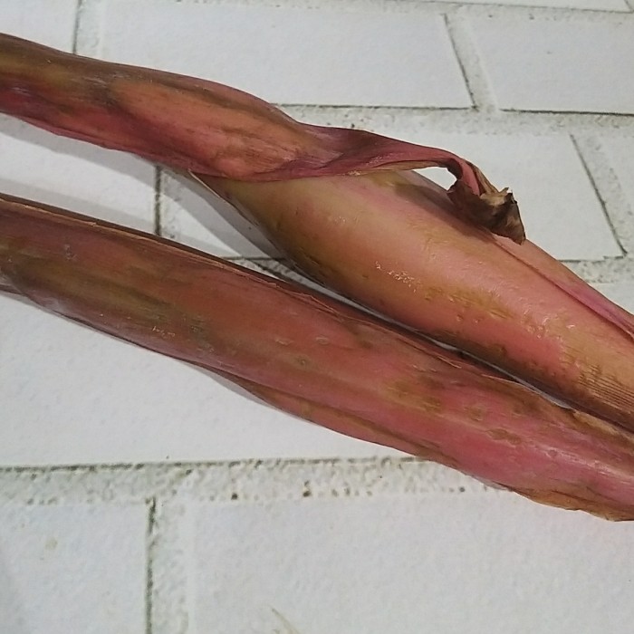 

Kecombrang