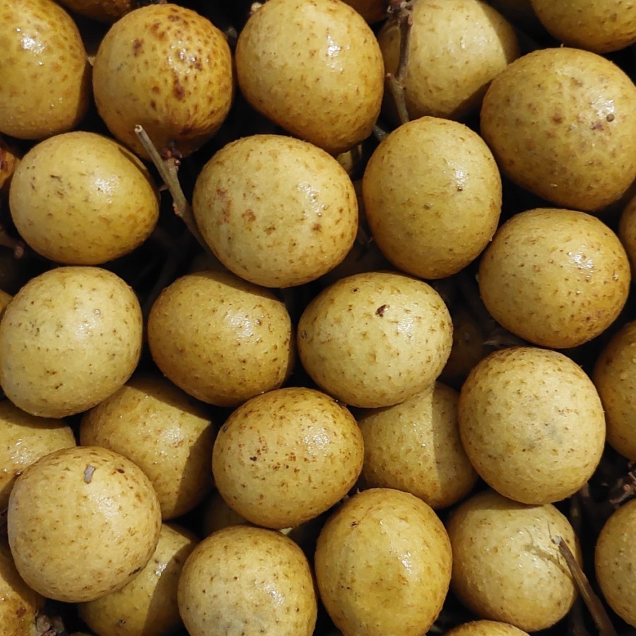 

Kelengkeng Gold 1kg