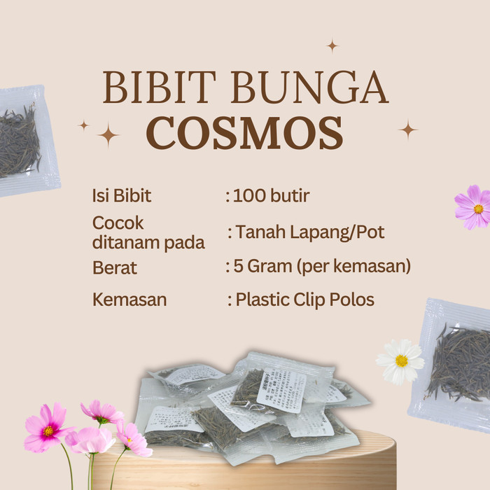Benih Bibit Biji Bunga Krisan Delmatia/Bunga Aster Per 1gr 100 Biji dan Bunga Cosmos Krisan Mesir