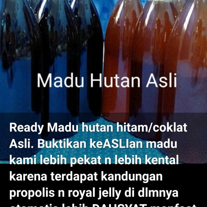 

Madu Hutan Asli