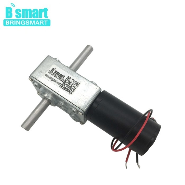 5840-31ZY 12V DC GEAR MOTOR 24V DC WORM GEAR MOTOR WITH DOUBLE SHAFT