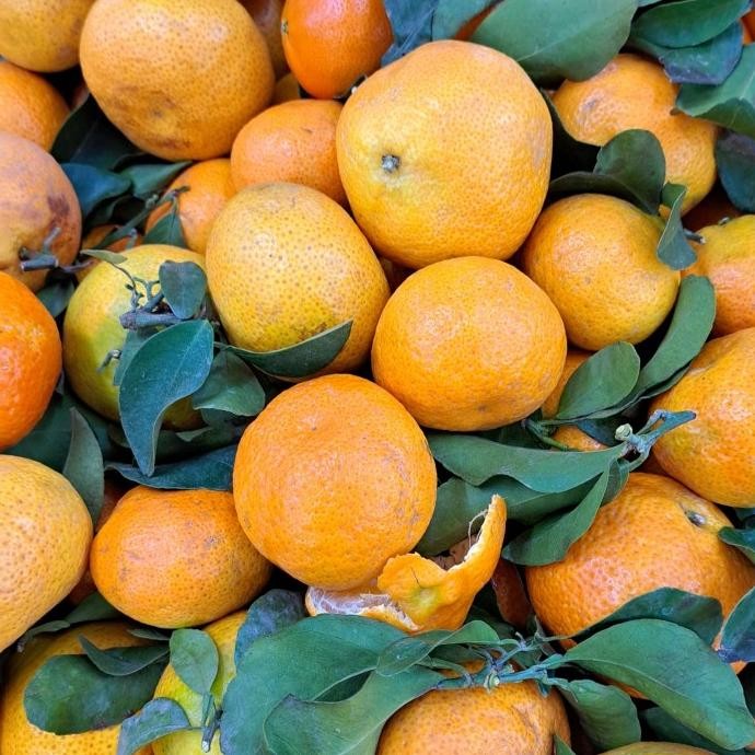 

SALE! JERUK SHANTANG SUPER FRESH 1 KG