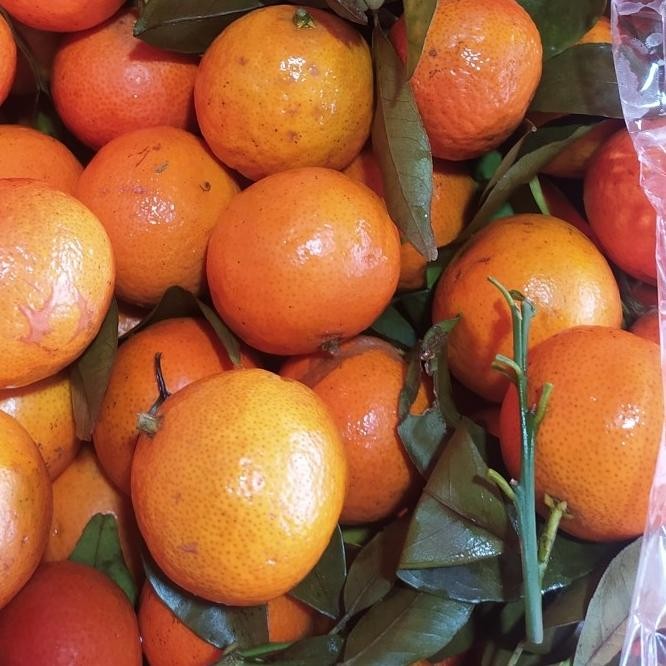 

SALE! JERUK SANTANG DAUN 1 KERANJANG