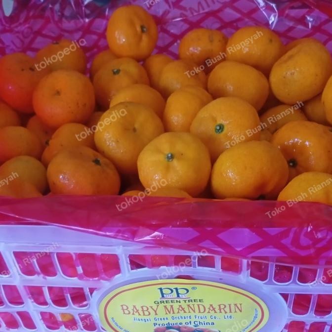 

SALE! JERUK SANTANG BOTAK MANIS FRESH NON BIJI PER KERANJANG 7KG BUAH JERUK