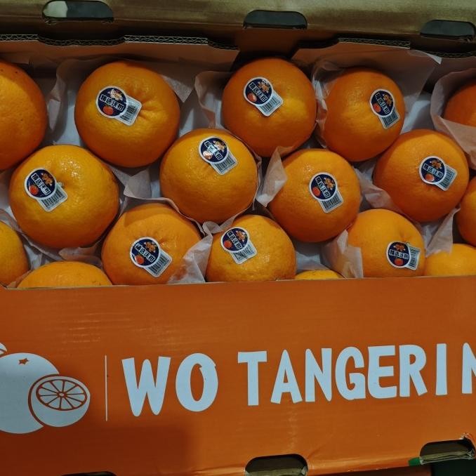 

SALE! JERUK WO KAM MANDARIN CHINA