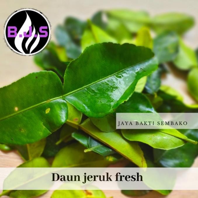 

SALE! DAUN JERUK SEGER 1KG