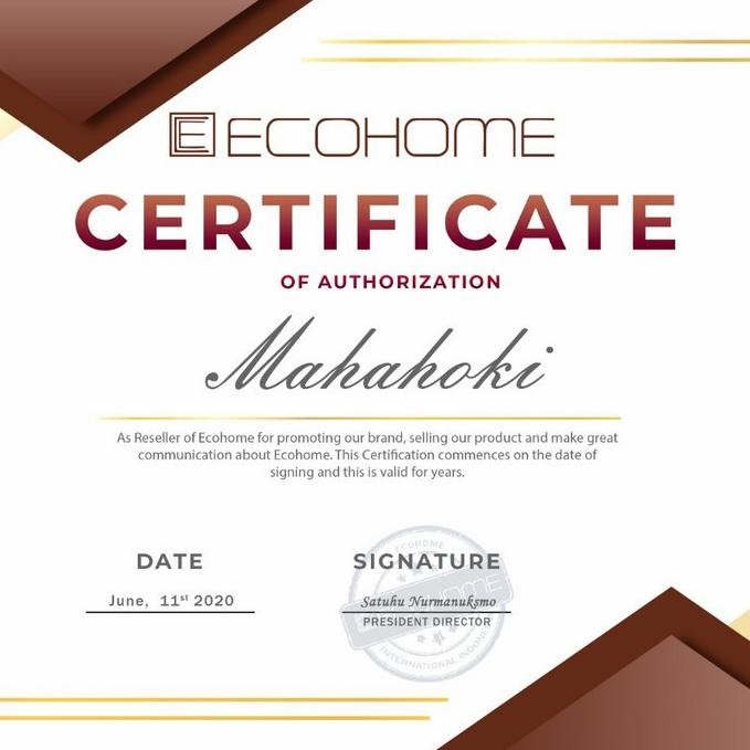 Ecohome Slow Juicer Esj-999(Rpm 40) Original Pengekstrak Buah Import