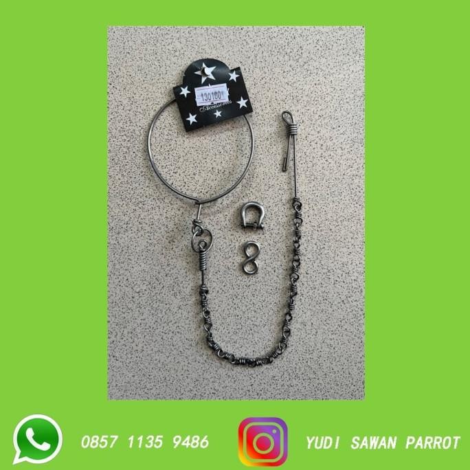 Rantai Rante Burung Nuri Kepala Hitam Ambon Kakatua Goffin Galah