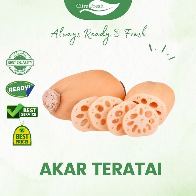 

THEO AKAR TERATAI LOTUS