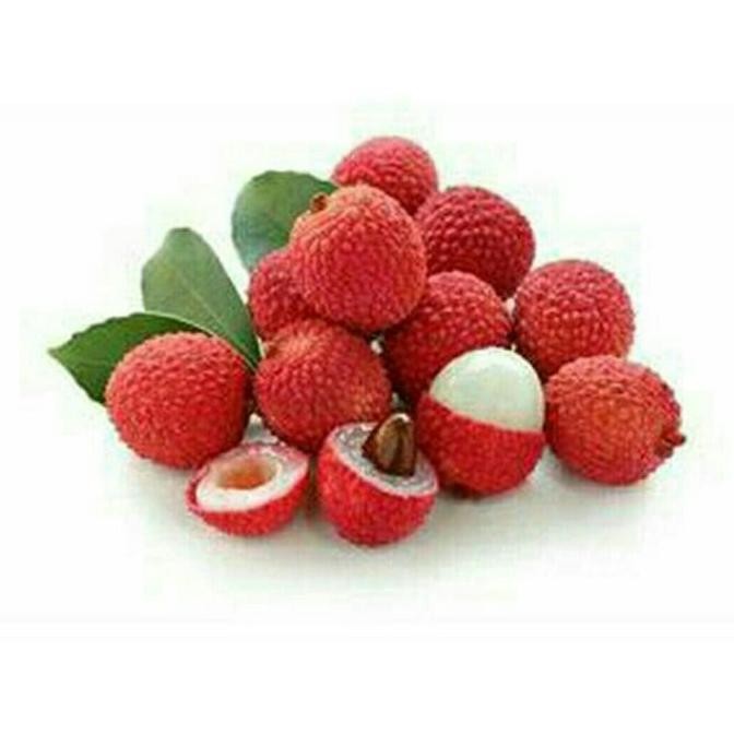 FRES Bibit Buah Leci / Lychee Kom / Merah Super Unggul VALID