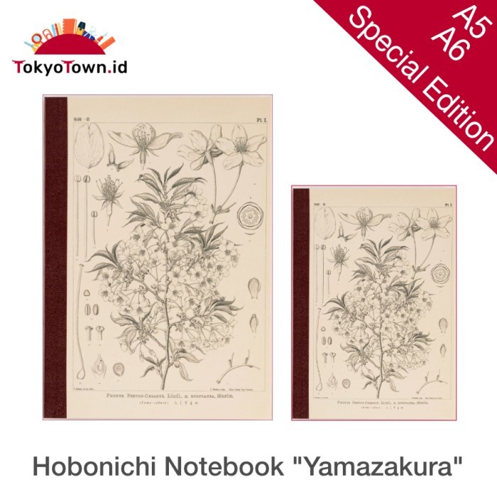 

Ready Hobonichi Plain Notebook Yamazakura Tomoe River