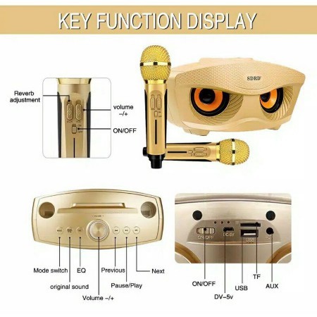 NEW DEALS SDRD SD 306 SPEAKER KARAOKE BLUETOOH SDRD SD306 DENGAN 2 MICROPHONE WIRELESS