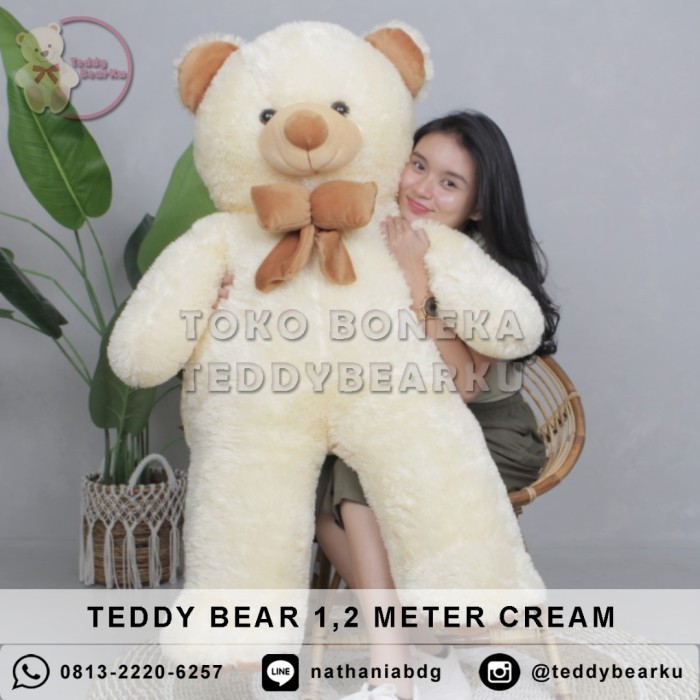 

JUAL BONEKA TEDDY BEAR (BERUANG) JUMBO 1,2 METER