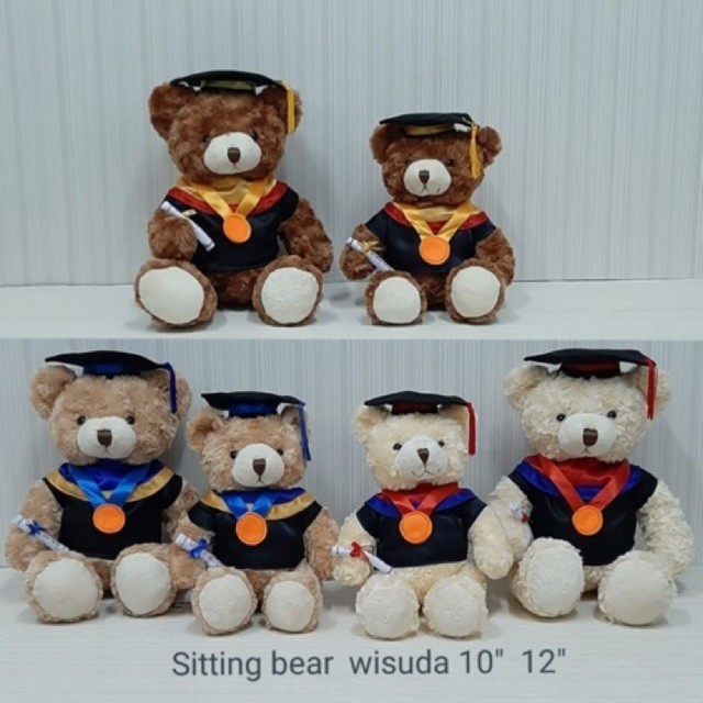 

BONEKA WISUDA TEDDY BEAR 10" HADIAH WISUDA / HADIAH GRADUATION