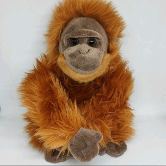 

BONEKA MONYET LUCU UKURAN SEDANG M