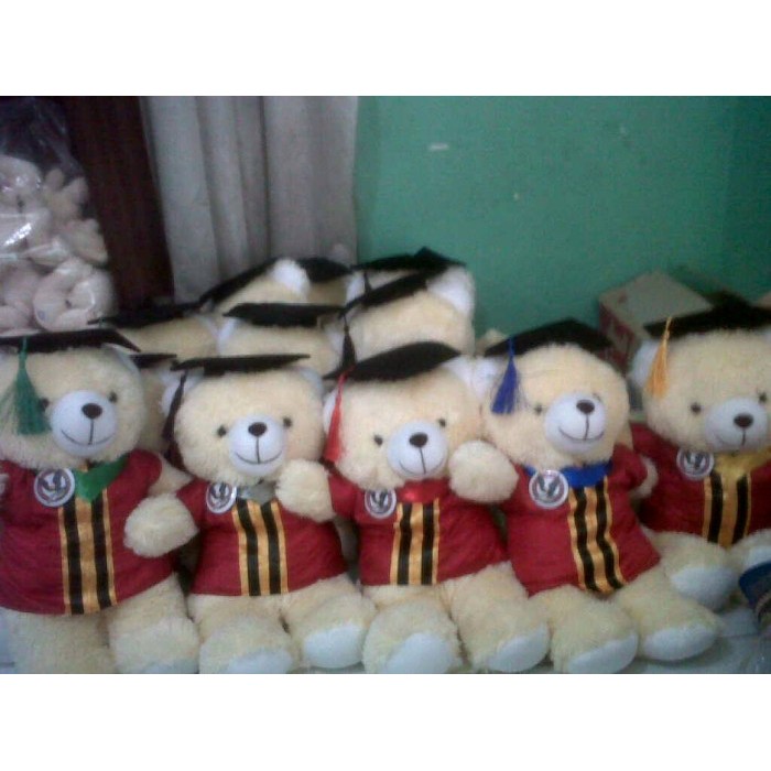 

BONEKA WISUDA UPH 40CM PACKING PLASTIK