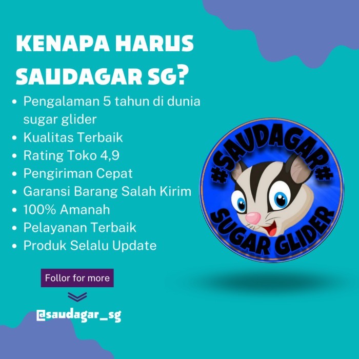 kandang hewan kecil sg/tupai terbang/hamster/kelinci