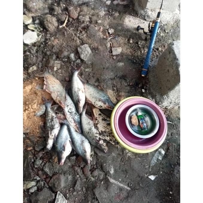 Flase Promo Essen Tsurikami Ikan Patin Spesial Umpan Pancing Ikan Patin Aw-96