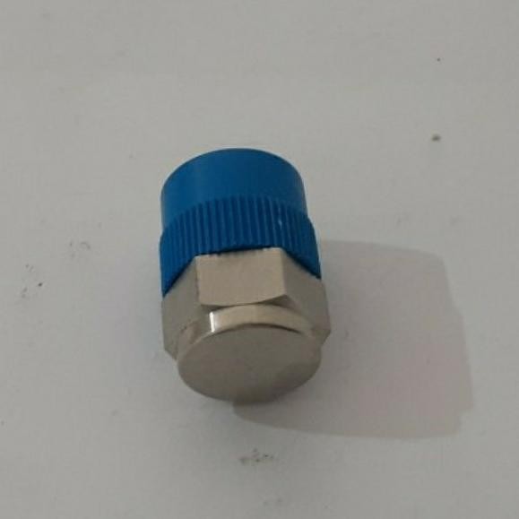 Pipe Plug Ss-4-P Swagelok Ss316 1/4" Mnpt