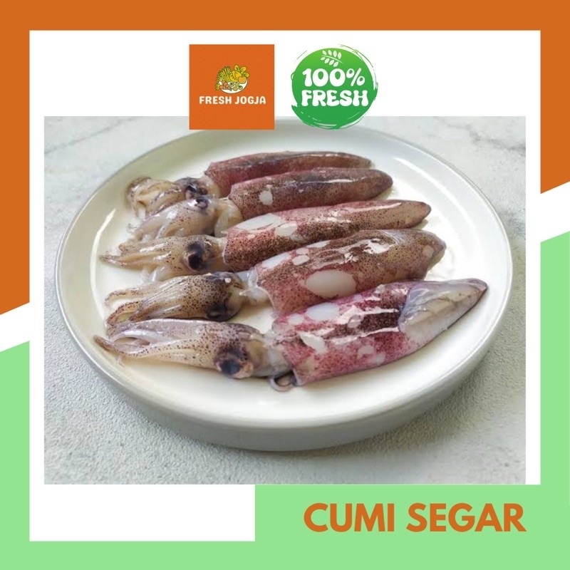 

Cumi Segar Ukuran Sedang dan Besar per 250gr | Fresh Jogja