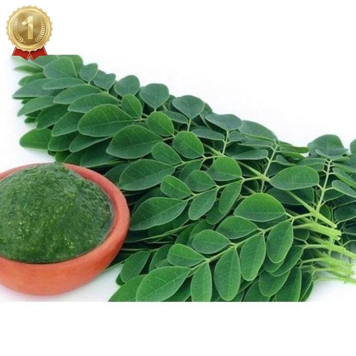 

Special Price Daun Kelor Asli Moringa Teh Daun Kelor Herbal Alami Moringa Oleifera - Daun Segar, 10 Gram Daun Herbal Kering