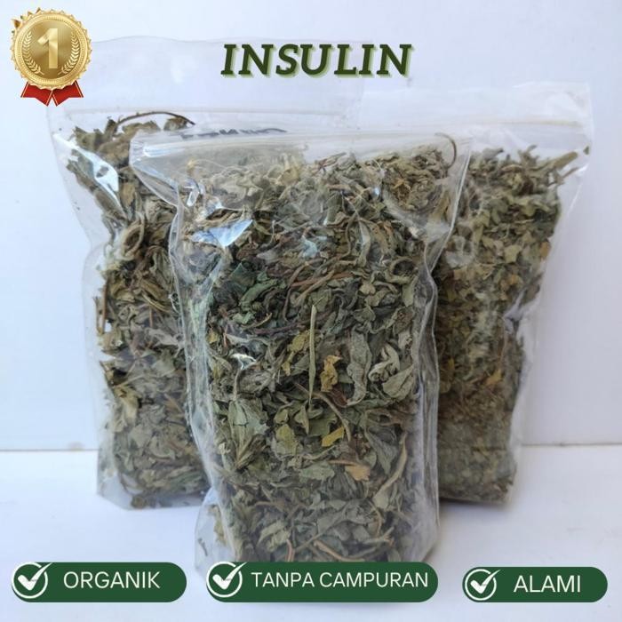 

Aman Terbaik Daun Insulin Kering - Herbal Untuk Diabetes Daun Herbal Kering