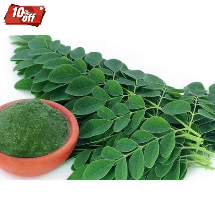 

Terlaris Daun Kelor Asli Moringa Teh Daun Kelor Herbal Alami Moringa Oleifera - Daun Segar, 10 Gram Daun Herbal Kalimantan