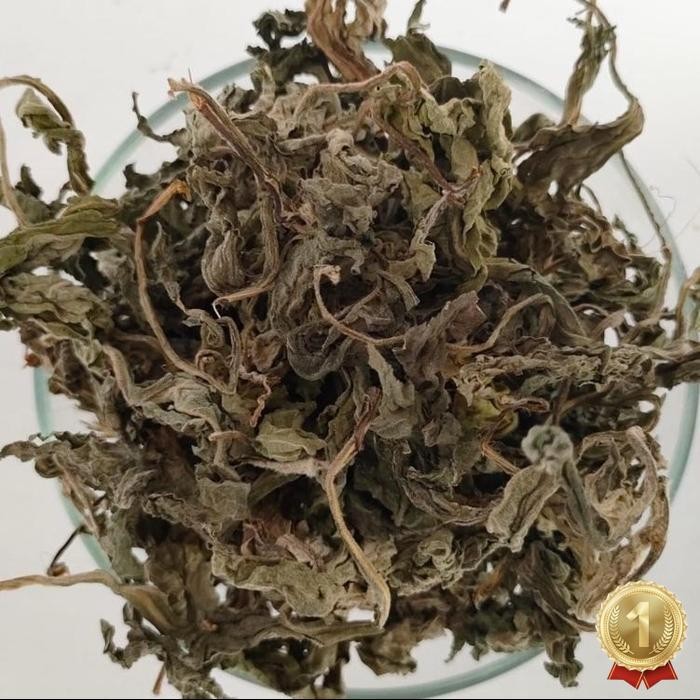 

Cod Daun Insulin Herbal 50G Daun Herbal