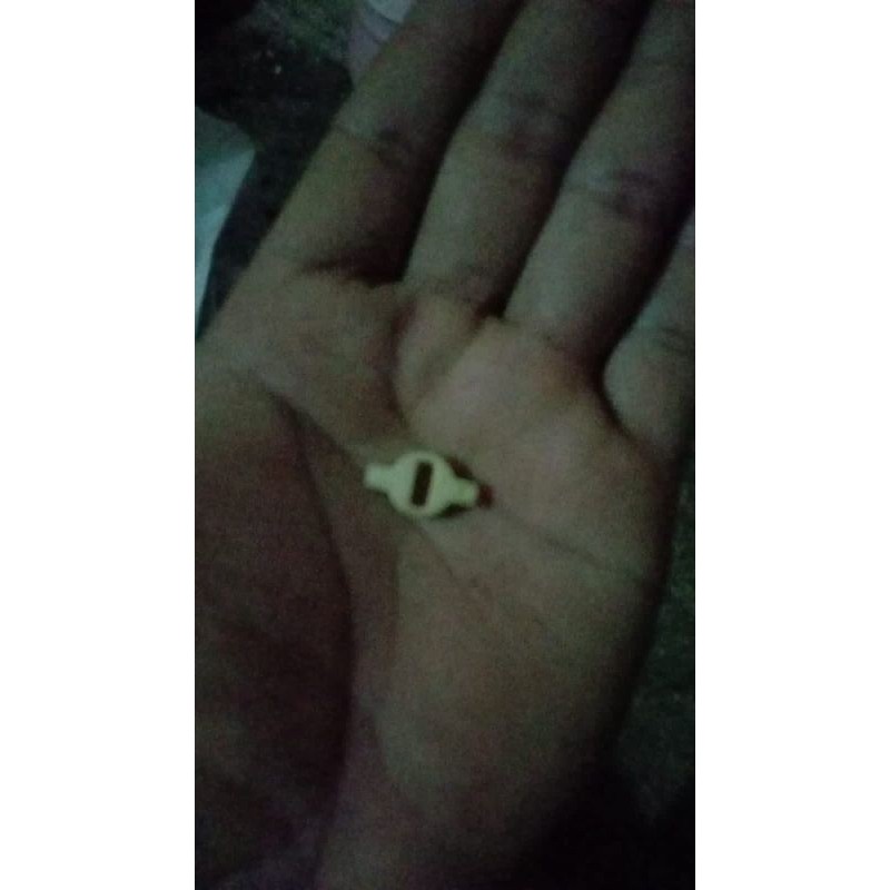 Plastik Pompa Oli A100 / A 100