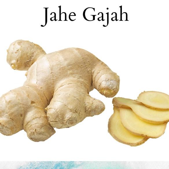 

Jahe Gajah 1 Kg