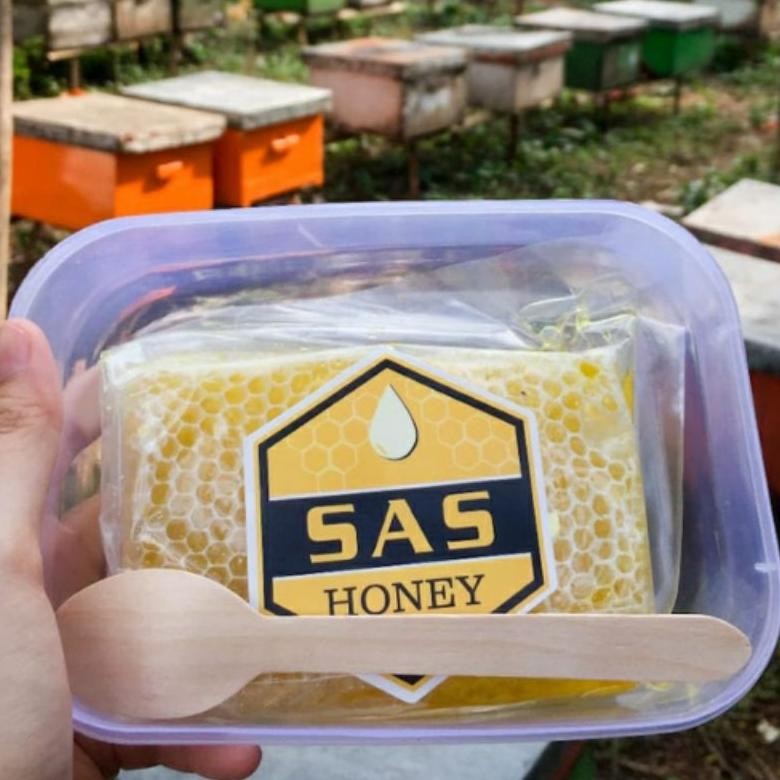 

Discount Sarang Madu Mellifera Asli 250Gr Grosir