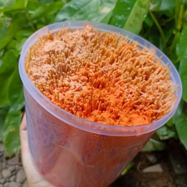 

Discount Mie Lidi Toples | Mie Lidi Lebaran | Mie Lidi Bumbu Kering Murah