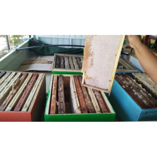 

Big Sale Madu Sarang Lebah Asli Super Premium 250Gr Murah